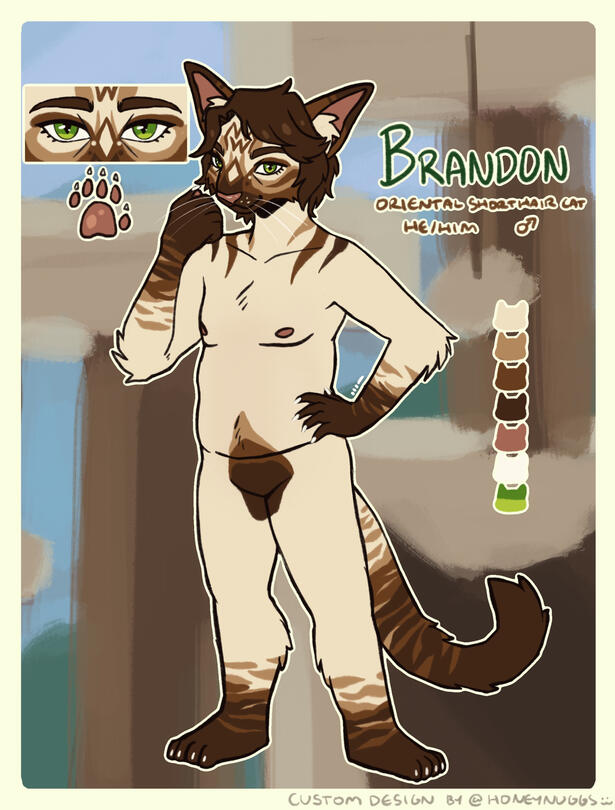 seal point oriental shorthair furry - single artwork